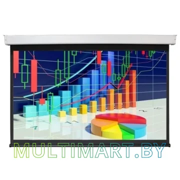 Проекционный экран Future Vision Video Electric 200 200x150 (E200VMW)
